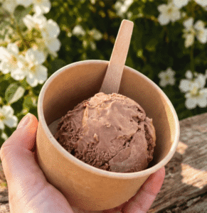 Pot de glace artisanale au chocolat servi dans un gobelet en carton, tenu à la main, avec une cuillère en bois, dans un cadre fleuri au coucher du soleil.