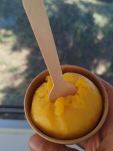 Sorbet mangue artisanal de L'Évasion Givrée, glacier artisanal dans le Finistère.